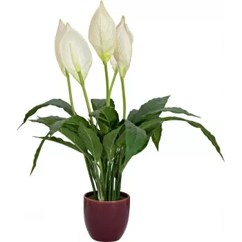 EUROPALMS mākslīgā spathiphyllum, 60 cm 82505660