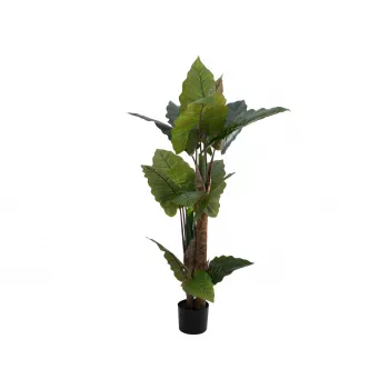 EUROPALMS Alocasia mākslīgais augs, 140cm, zaļš, melns pods 82508464
