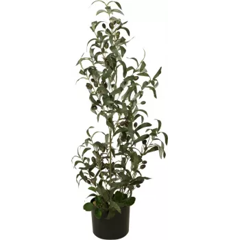 EUROPALMS mākslīgais olīvkoks, 90 cm 82506422
