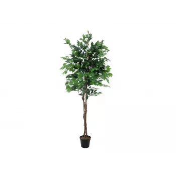 EUROPALMS Ficus Benjamina daudzstumbru mākslīgais augs, 210cm 82506127