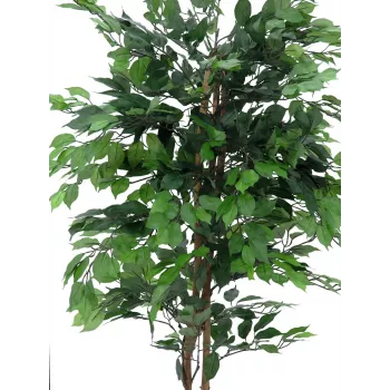 EUROPALMS Ficus Benjamina daudzstumbru mākslīgais augs, 210cm 82506127