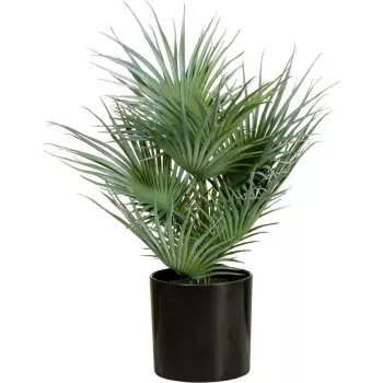 EUROPALMS mākslīgā vēdekļpalma podā, 55 cm 82509401