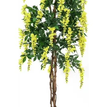 EUROPALMS mākslīgais zelta lietus koks, dzeltens, 150cm 82507115