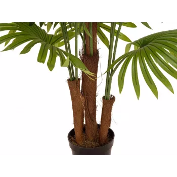 EUROPALMS mākslīgā vēdekļpalma, 165 cm 82509305
