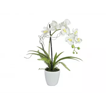 EUROPALMS mākslīgais orhideju aranžējums 1, podā, balti rozā, 60 cm 82530346