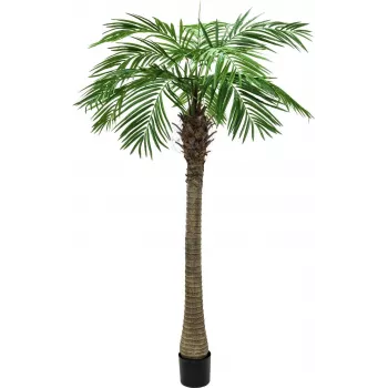 EUROPALMS Luxor mākslīgā fēniksa palma, 150 cm, zaļa 82510720