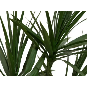 EUROPALMS Dracena mākslīgais augs, zaļš, 170 cm 82505799