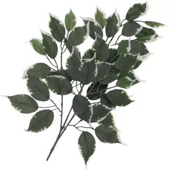 EUROPALMS mākslīgais fikusa zars, 12 gab. iepakojums 82506100
