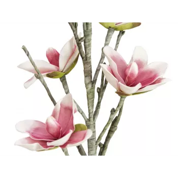 EUROPALMS mākslīgs magnolijas zars (EVA), balts-rozā 82530587