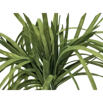 EUROPALMS mākslīgā jūraszāle (EVA), zaļa 82531062