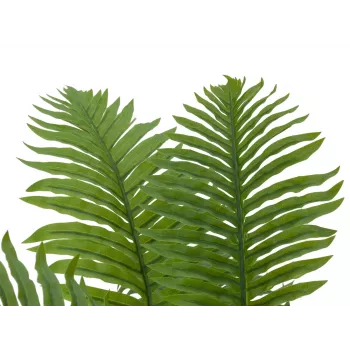 EUROPALMS Cycas palma mākslīgais augs, 70 cm 82509604