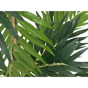 EUROPALMS Parlour Palm mākslīgais augs, 150cm 82509495