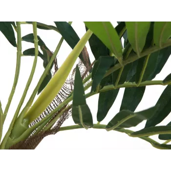 EUROPALMS Parlour Palm mākslīgais augs, 150cm 82509495