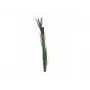 EUROPALMS mākslīgā niedru zāle ar pūkām, tumši zaļa, 152cm 82505854