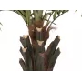 EUROPALMS Kentia palma Deluxe mākslīgais augs 300cm 82511370