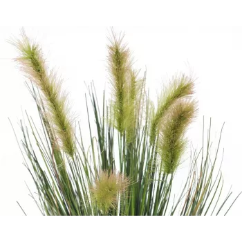 EUROPALMS mākslīgā purva zāle dekoratīvā podā, 60cm 82505862