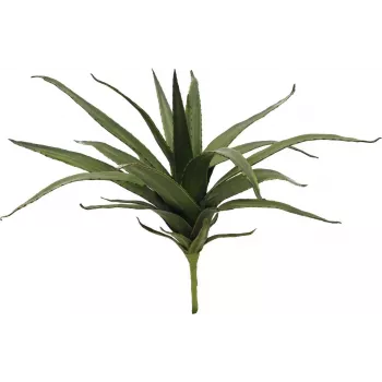 EUROPALMS Aloe (EVA), mākslīgs, zaļš, 50cm (82530570)