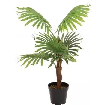 EUROPALMS mākslīgais ventilatora palmas augs, 88 cm, zaļš, melns pods 82509301