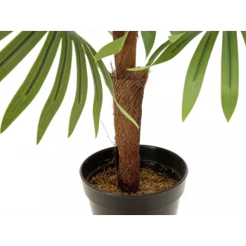 EUROPALMS mākslīgais ventilatora palmas augs, 88 cm, zaļš, melns pods 82509301
