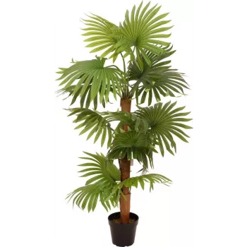 EUROPALMS Fan Palm mākslīgais augs 130cm 82509302