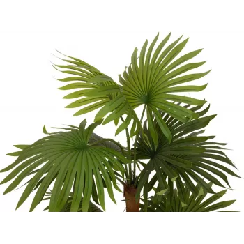 EUROPALMS Fan Palm mākslīgais augs 130cm 82509302