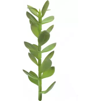 EUROPALMS naudas koka dīgsts mākslīgais augs, 30cm 82809010