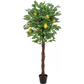 EUROPALMS mākslīgais citronkoks, 150cm 82507815