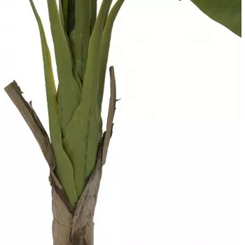 EUROPALMS mākslīgais banānu koks, 145cm 82509504