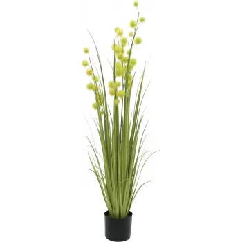 EUROPALMS Pompom Grass mākslīgais augs, 122 cm, zaļš 82500136