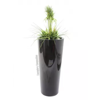 EUROPALMS mākslīgās zāles kompozīcija, 90cm, zaļa, melnā podā 82600137