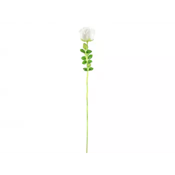 EUROPALMS Crystal Rose mākslīgais zieds, balts, 81 cm, 12 gabali 82600208