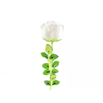 EUROPALMS Crystal Rose mākslīgais zieds, balts, 81 cm, 12 gabali 82600208