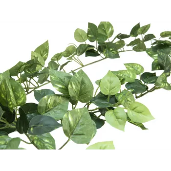 EUROPALMS Pothos vītne Classic, mākslīga, 180cm 82503728