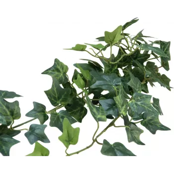 EUROPALMS mākslīgo efeju krūmu aizsegs Classic, 70cm 82502208