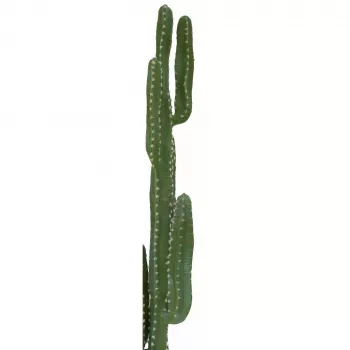 EUROPALMS mākslīgais Meksikas kaktuss, zaļš, 123cm 82801072