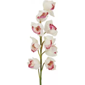 EUROPALMS Cymbidium zars, mākslīgs, balts-rozā, 90cm 82530312