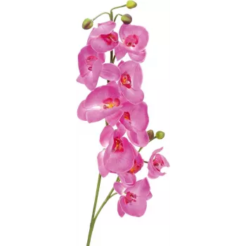 EUROPALMS mākslīgais orhidejas zars, violets, 100 cm 82530322