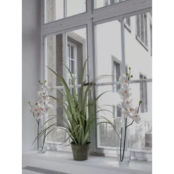 EUROPALMS mākslīgais orhidejas zars, krēmbalts, 100cm (82530323)
