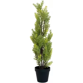 EUROPALMS Leyland cypress mākslīgais augs, 60cm 82606959