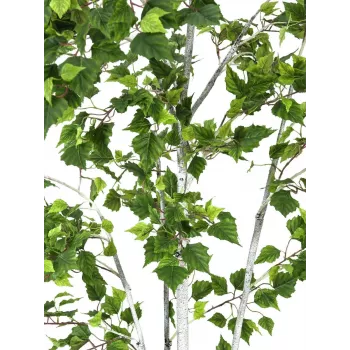 EUROPALMS Bērza koks mākslīgais augs 180cm 82505231