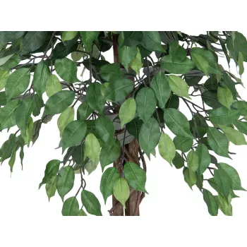 EUROPALMS Ficus Benjamina daudzstumbru mākslīgais augs, 180 cm 82506126