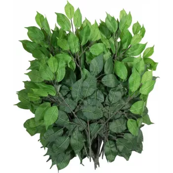 EUROPALMS mākslīgais Ficus Benjamina zars, 12 gab. iepakojums 82506101