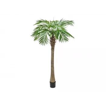 EUROPALMS Phoenix Palm Luxor mākslīgais augs, 210cm 82510721
