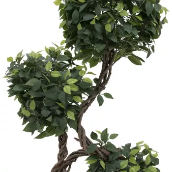 EUROPALMS Ficus Multi Spiral Trunk mākslīgais augs, 160cm 82501563