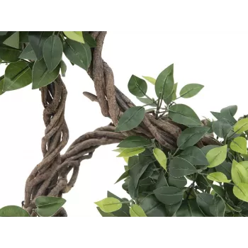 EUROPALMS Ficus Multi Spiral Trunk mākslīgais augs, 160cm 82501563