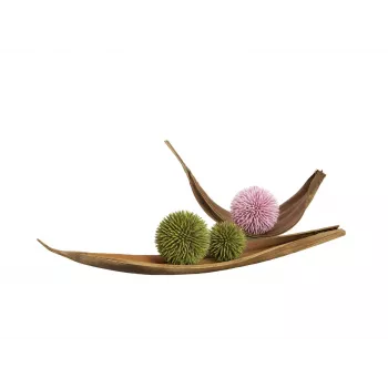 EUROPALMS Succulent Ball EVA mākslīgais augs, zaļš, 16 cm 82531074