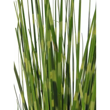 EUROPALMS Zebra Grass, mākslīga, 90cm 82505863