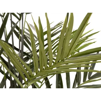 EUROPALMS Kentia palma mākslīgais augs 300cm 82511369