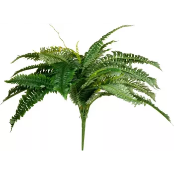 EUROPALMS Bostonas paparde mākslīgais augs, 53cm, zaļš 82519934