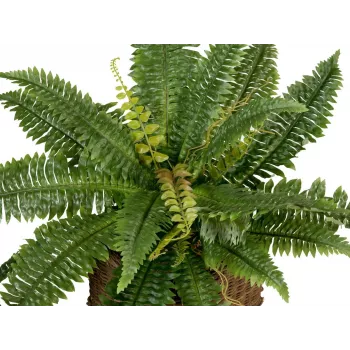 EUROPALMS Bostonas paparde mākslīgais augs, 53cm, zaļš 82519934